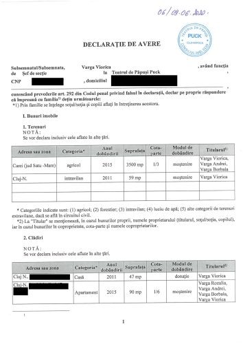Declaratii avere 2020-53
