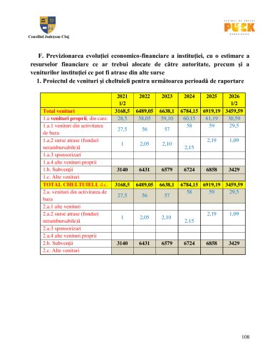 Raport managerial (107)