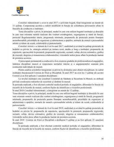 Raport managerial (33)