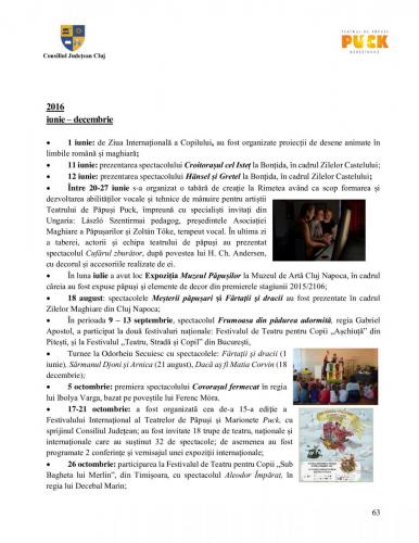 Raport managerial (62)