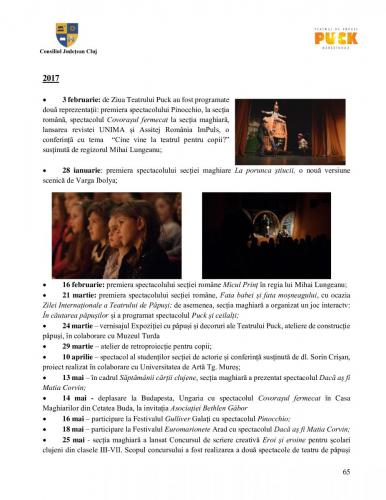 Raport managerial (64)