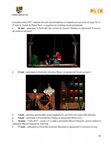 Raport managerial (65)