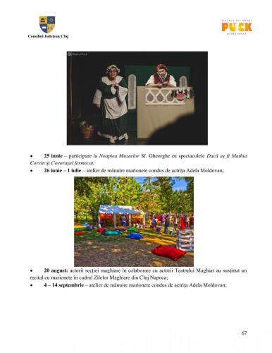 Raport managerial (66)