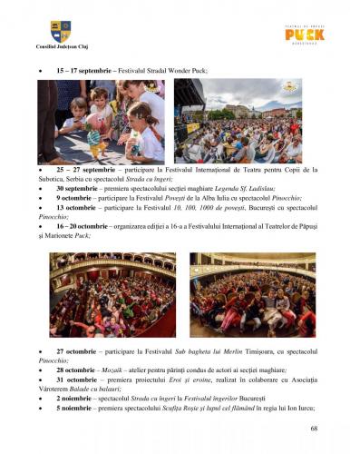 Raport managerial (67)