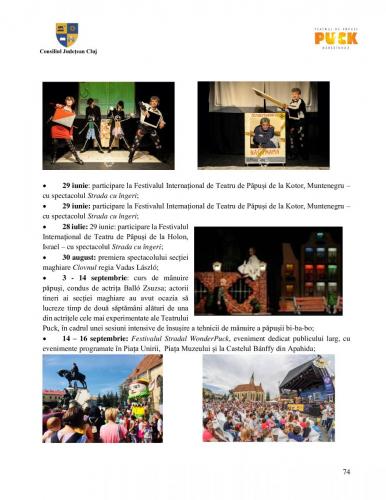 Raport managerial (73)