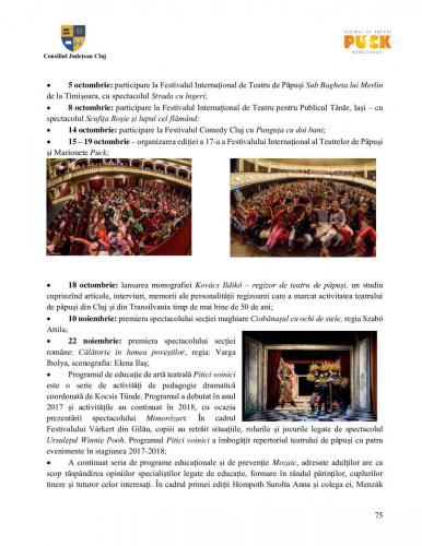 Raport managerial (74)