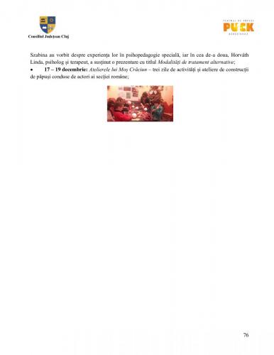 Raport managerial (75)