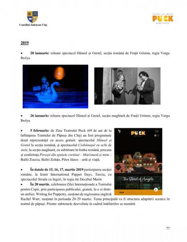 Raport managerial (76)