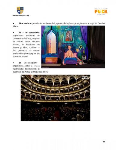 Raport managerial (85)