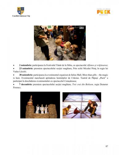 Raport managerial (86)