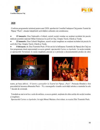 Raport managerial (87)