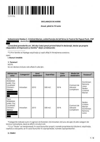 Declaratie-avere-Cristinel-Nedea-1