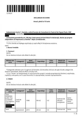 Declaratie-avere-Dana-Vartic-1