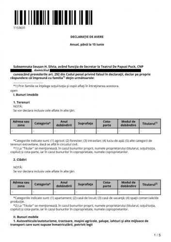 Declaratie-avere-Silvia-Seusan-1