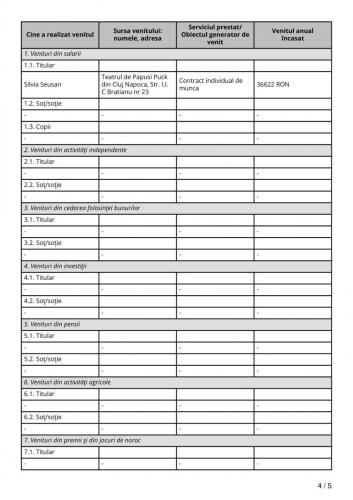 Declaratie-avere-Silvia-Seusan-4